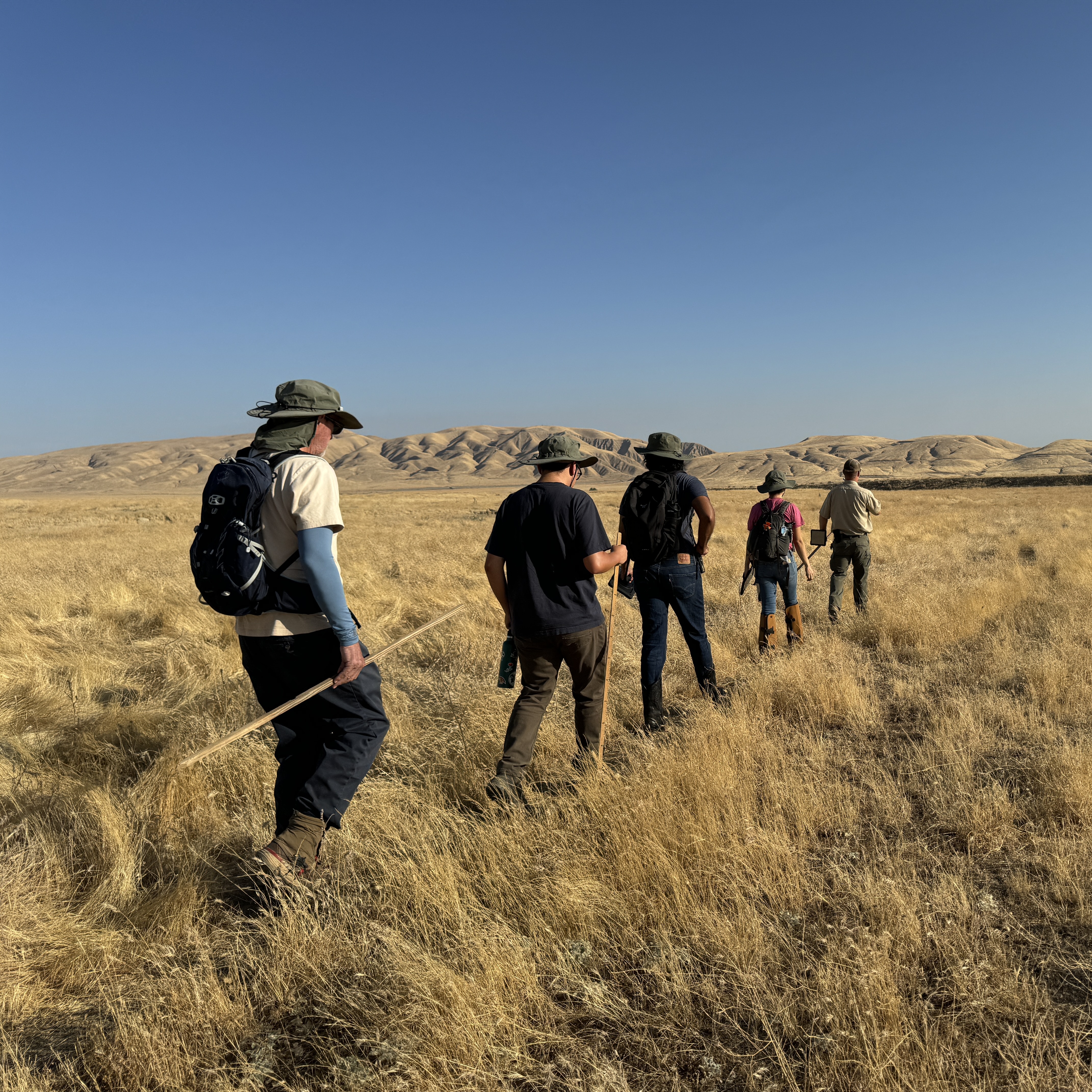 Volunteer Day: Backcountry Bakersfield Cactus Monitoring - logo